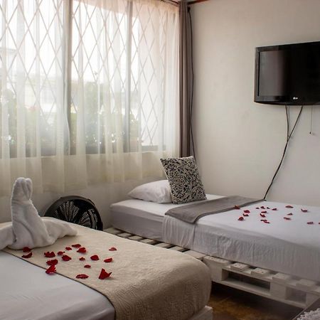 Eco Stay Hostel سان هوزيه المظهر الخارجي الصورة