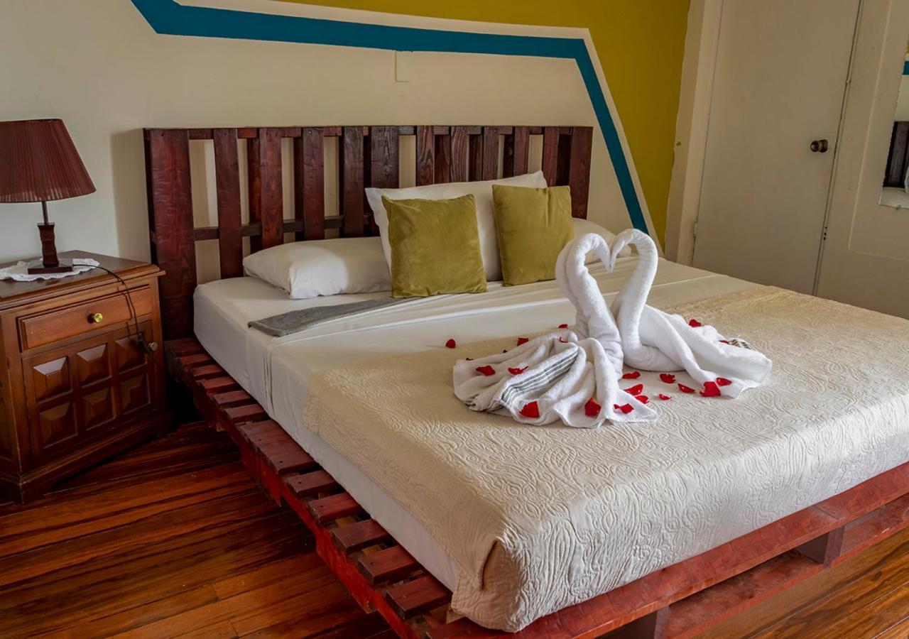 Eco Stay Hostel سان هوزيه المظهر الخارجي الصورة