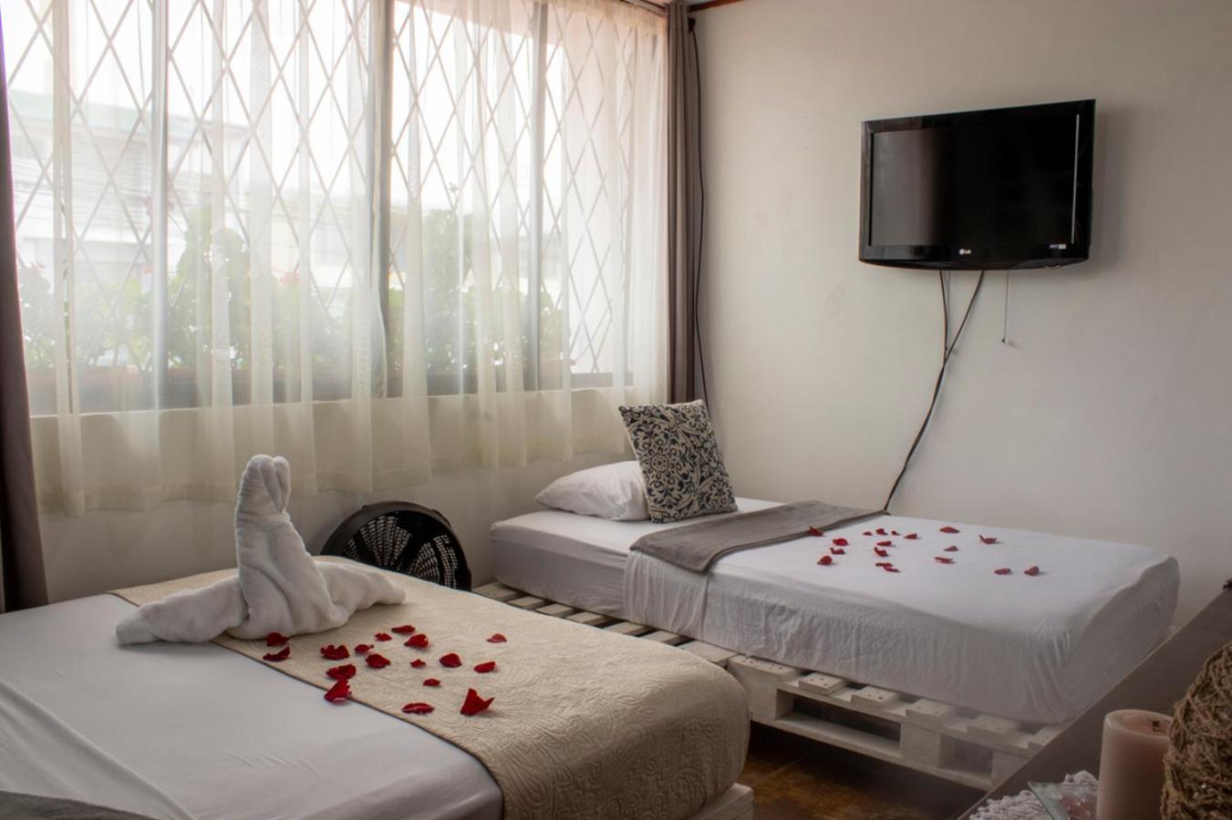 Eco Stay Hostel سان هوزيه المظهر الخارجي الصورة
