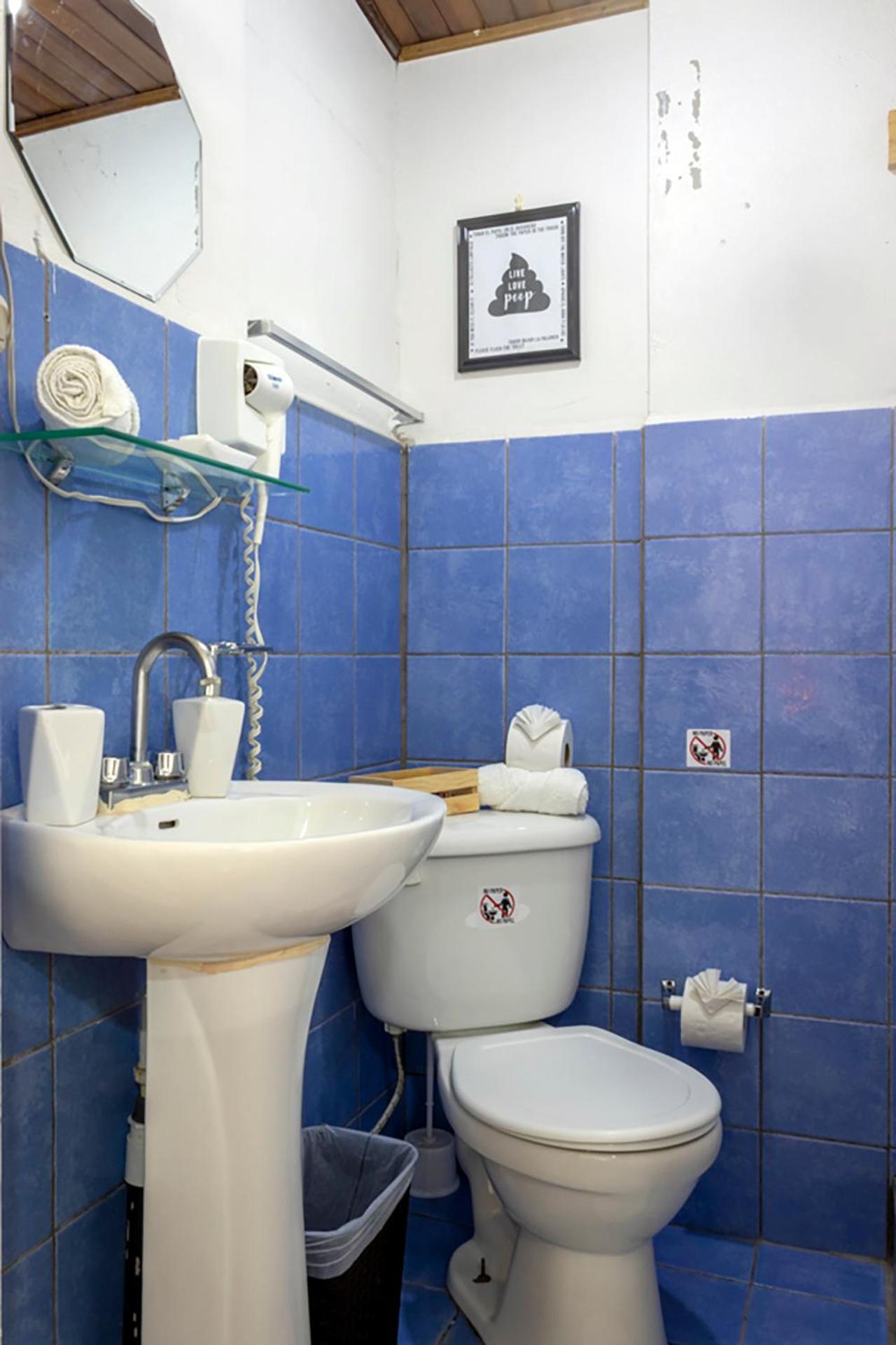 Eco Stay Hostel سان هوزيه المظهر الخارجي الصورة