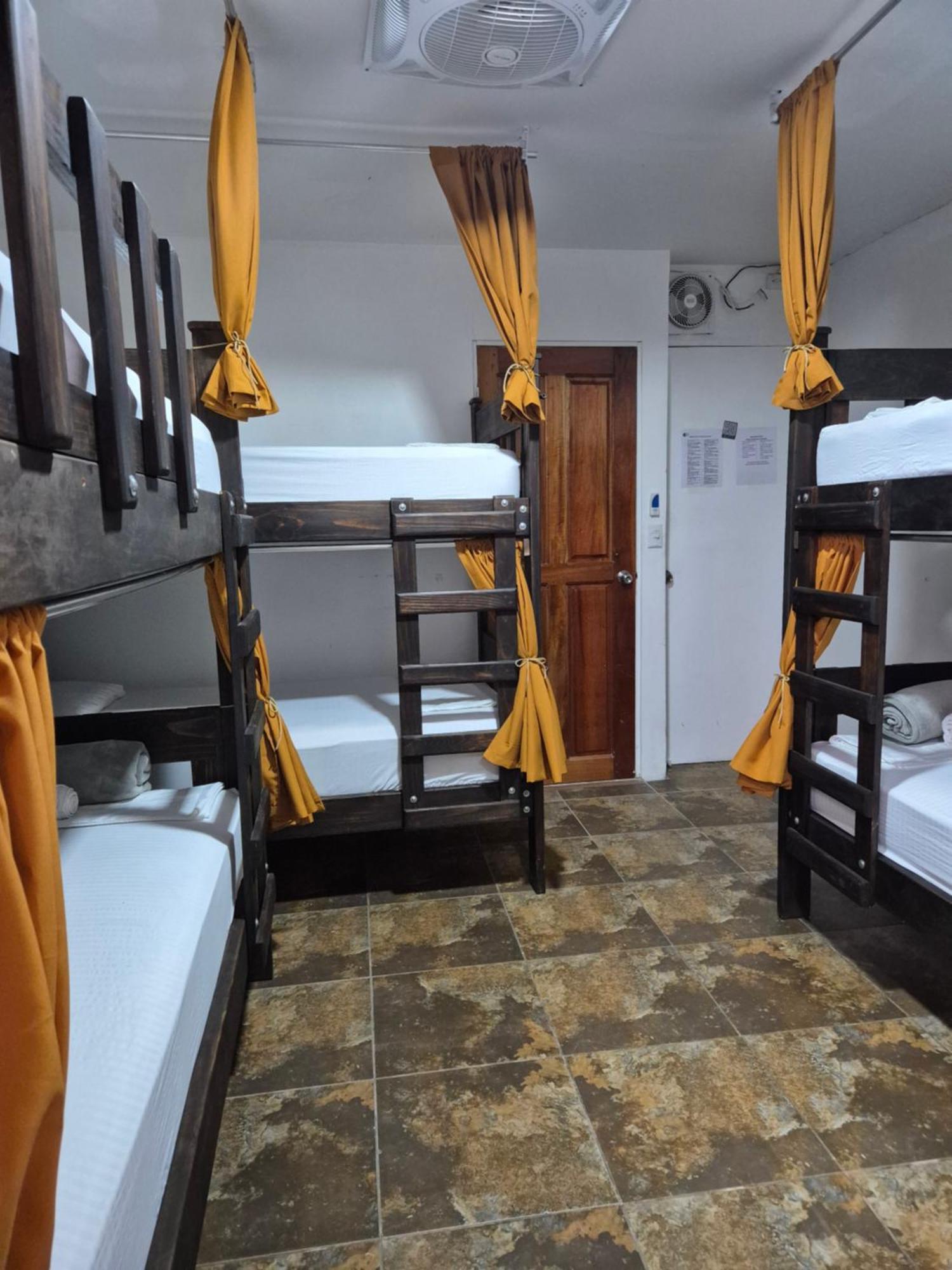 Eco Stay Hostel سان هوزيه المظهر الخارجي الصورة